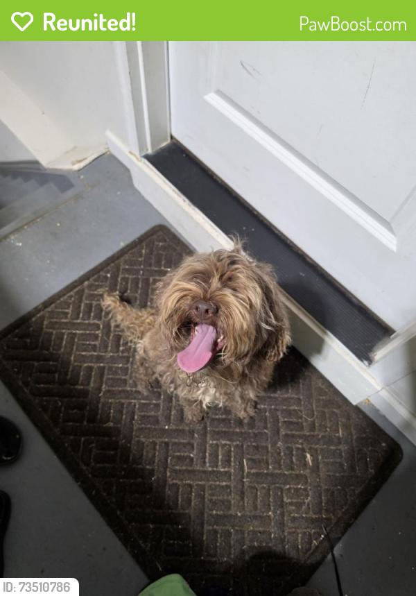Reunited Unknown Dog last seen Silverbrooke, Powder Springs, GA 30127