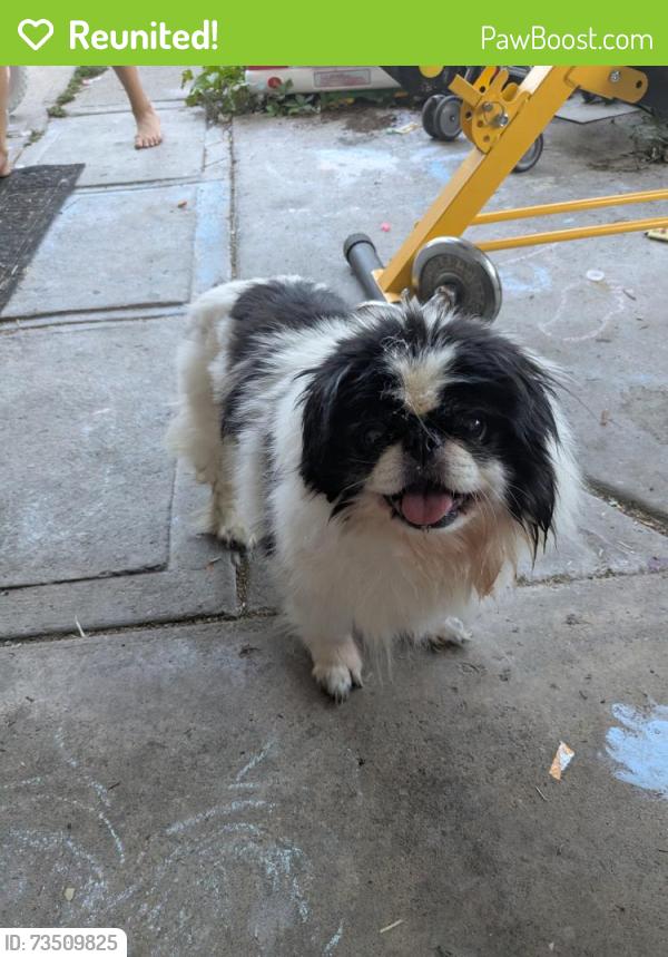 Reunited Female Dog last seen 1st and Knox Denver CO 80219, Denver, CO 80219