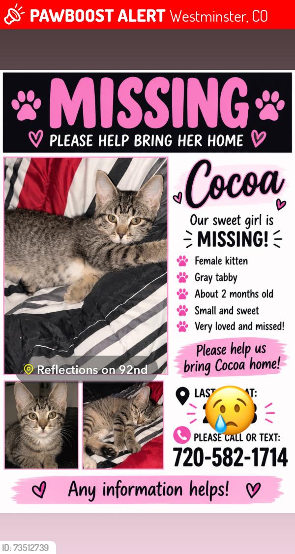Lost Female Cat last seen Near reflections on 92nd, Westminster, CO 80021