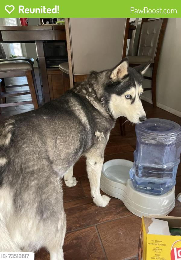 Reunited Unknown Dog last seen Northview St. and Milwaukee St., Boise, ID 83704