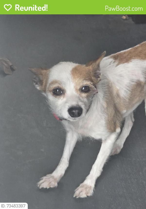 Reunited Unknown Dog last seen McConnell and pichard, Greensboro, NC 27401