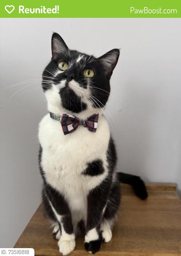 Reunited Male Cat last seen Fairview Ave N and County Rd C West, Roseville, MN 55113