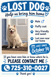 Lost Male Dog last seen Alta/ Decatur, Las Vegas, NV 89107