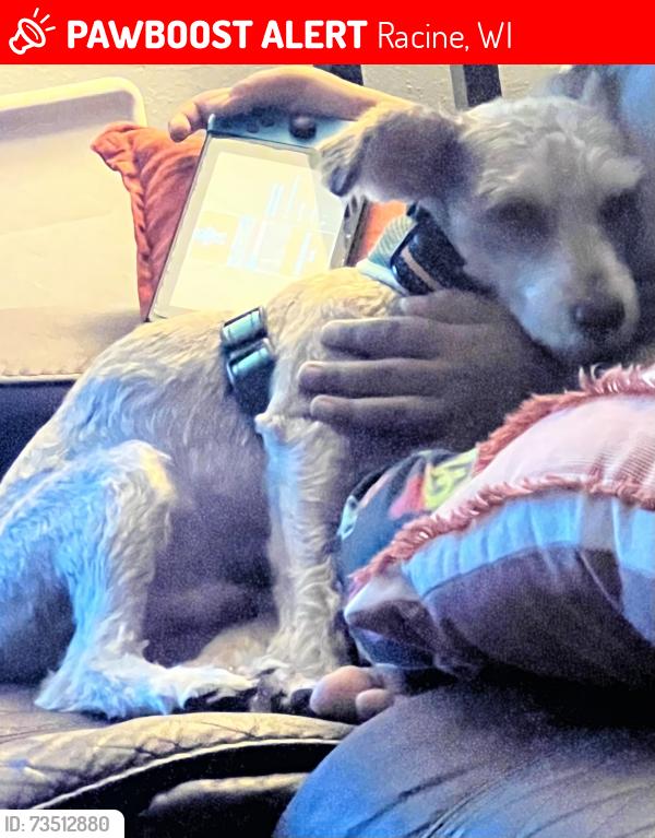 Lost Male Dog last seen Starbuck school, Racine, WI 53405