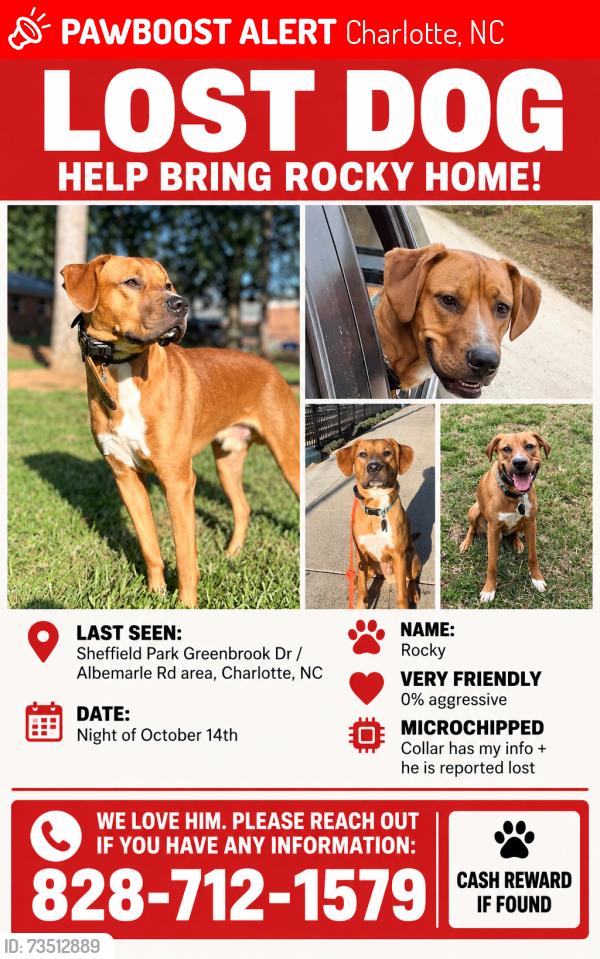 Lost Male Dog last seen Driftwood Dr & Campbell Dr, Charlotte, NC 28205