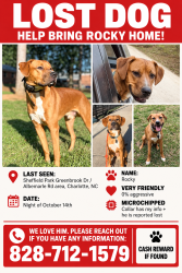 Lost Male Dog last seen Driftwood Dr & Campbell Dr, Charlotte, NC 28205