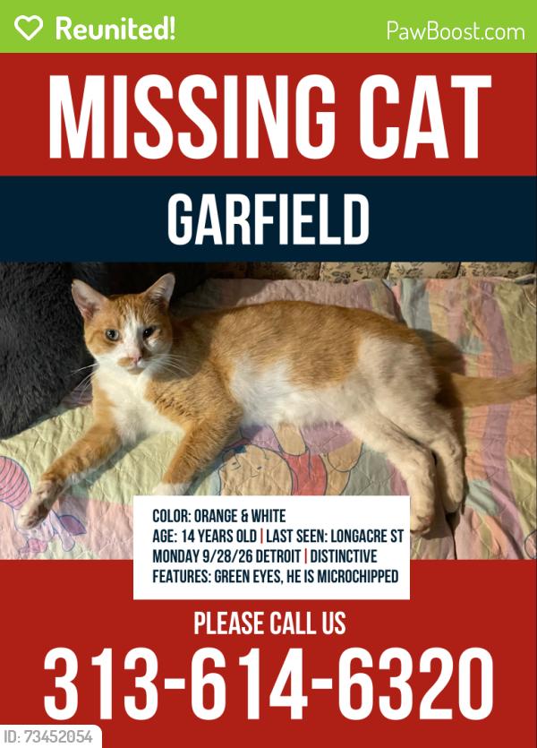 Reunited Male Cat last seen Southfield Rd & Paul St, Detroit, MI 48228