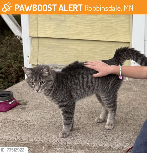 Found/Stray Male Cat last seen Norma Kelley Park, 41st and Xenia, Robbinsdale, MN 55422