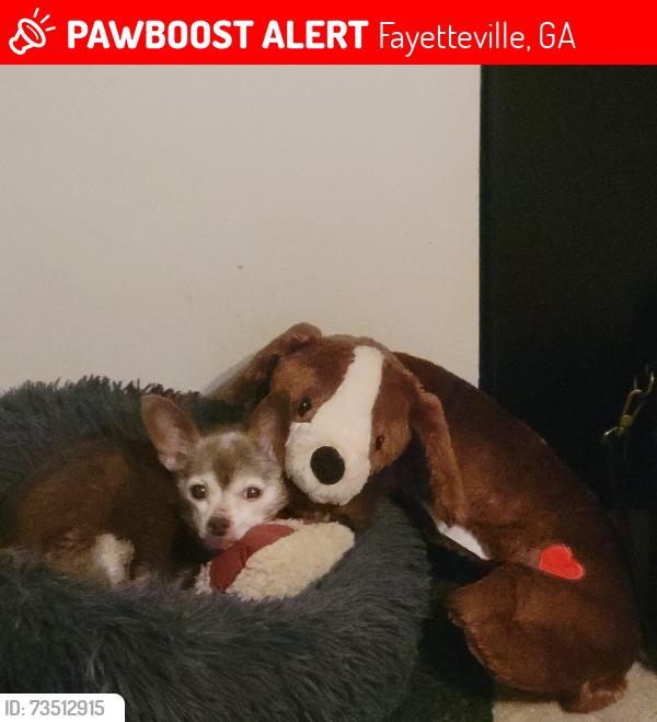Lost Male Dog last seen New Hope Road, Fayetteville, GA 30214