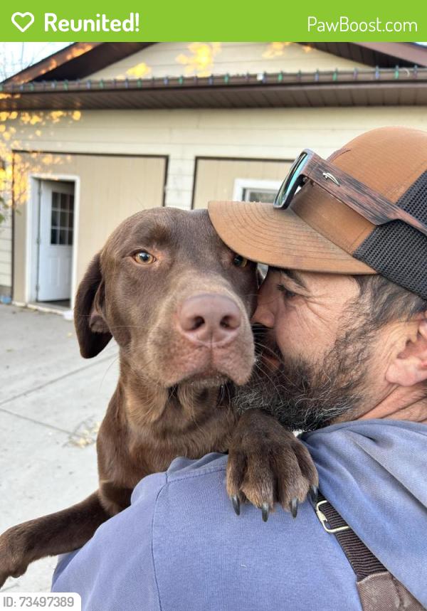 Reunited Male Dog last seen Near Range Road 3061, Corman Park No. 344, Sk, Canada, Corman Park No. 344, SK S7K 8B7