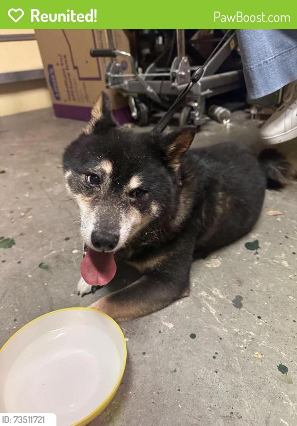 Reunited Male Dog last seen Near Terr & 65 Terr, Coral Springs, FL 33067