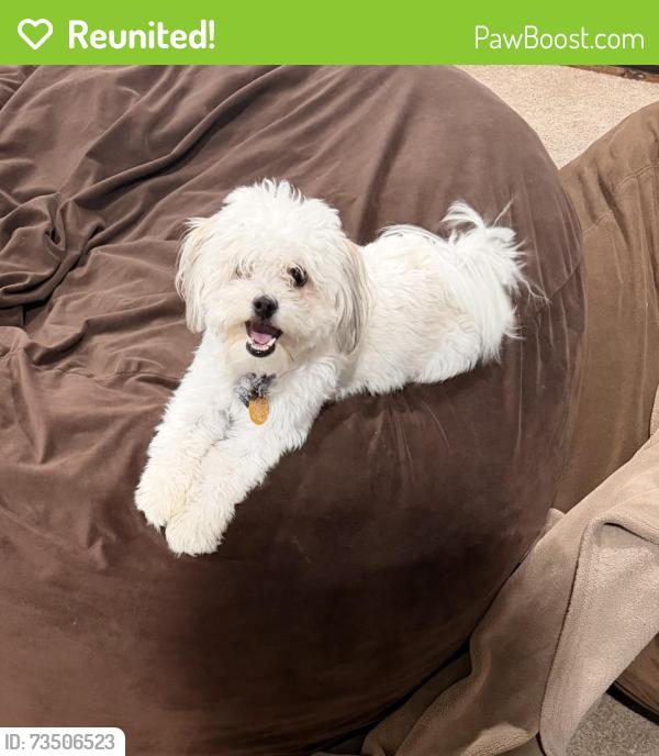 Reunited Female Dog last seen Colorado Ave and Chapman Rd in Randallstown MD, Randallstown, MD 21133