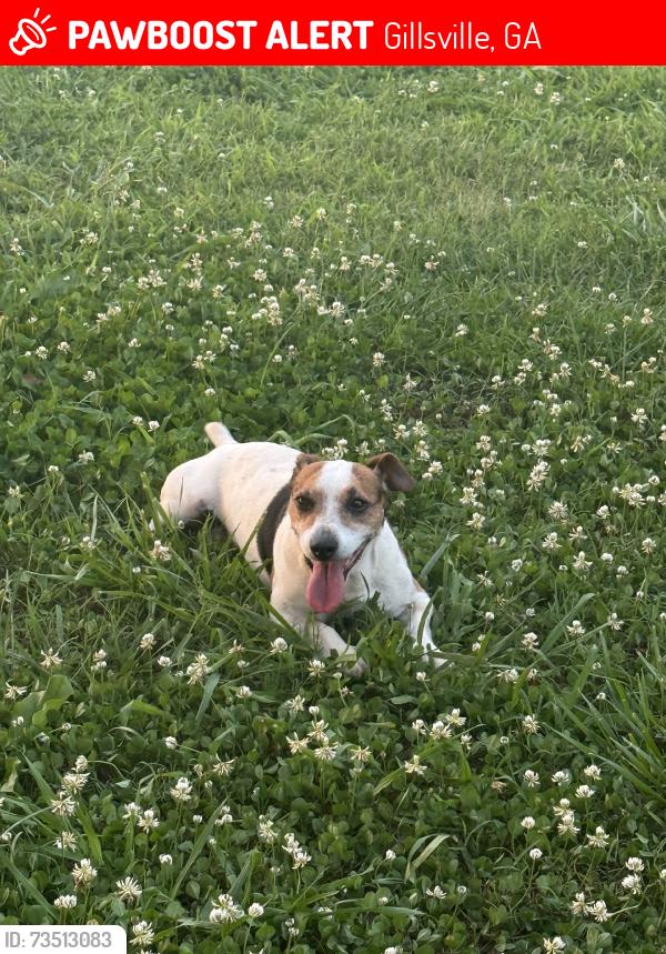 Lost Male Dog last seen Broke from runner at pur home, Gillsville, GA 30543