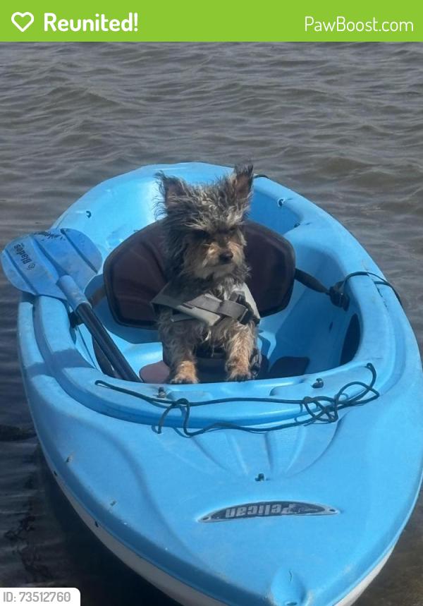 Reunited Male Dog last seen Chelton and Dundee, Colorado Springs, CO 80910