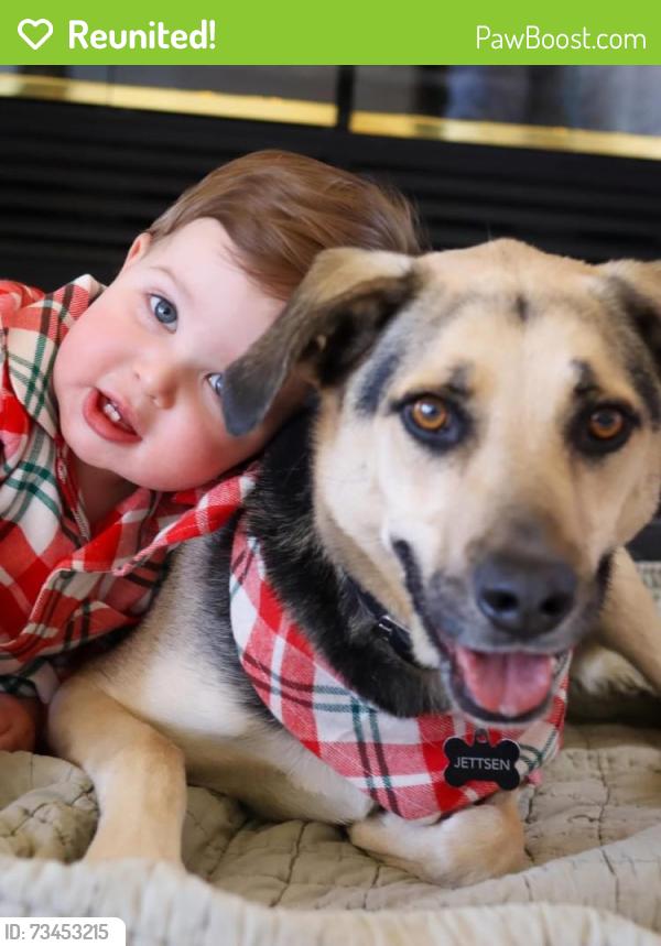 Reunited Male Dog last seen Irving kayenta, Albuquerque, NM 87114