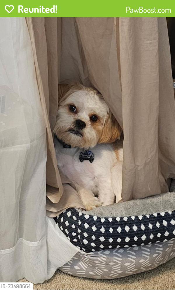 Reunited Male Dog last seen Ash Tree St, Snellville, GA 30039