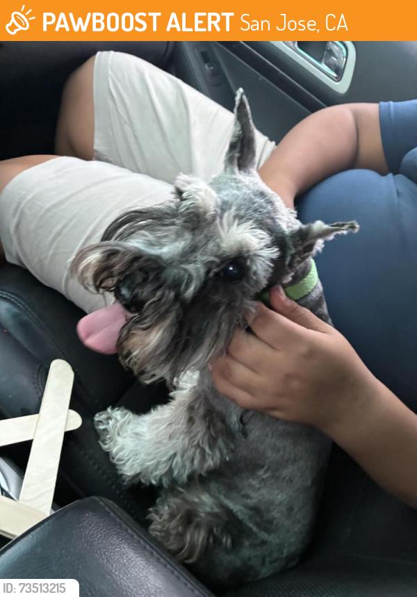 Found/Stray Unknown Dog last seen Monterey rd, San Jose, CA 95136