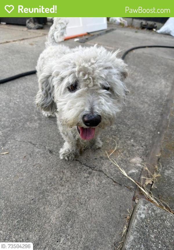 Reunited Male Dog last seen Empire rd, Oakland, CA 94603
