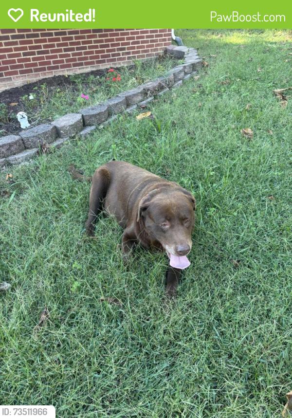 Reunited Male Dog last seen Pendall Pn, Hamilton County, TN 37379