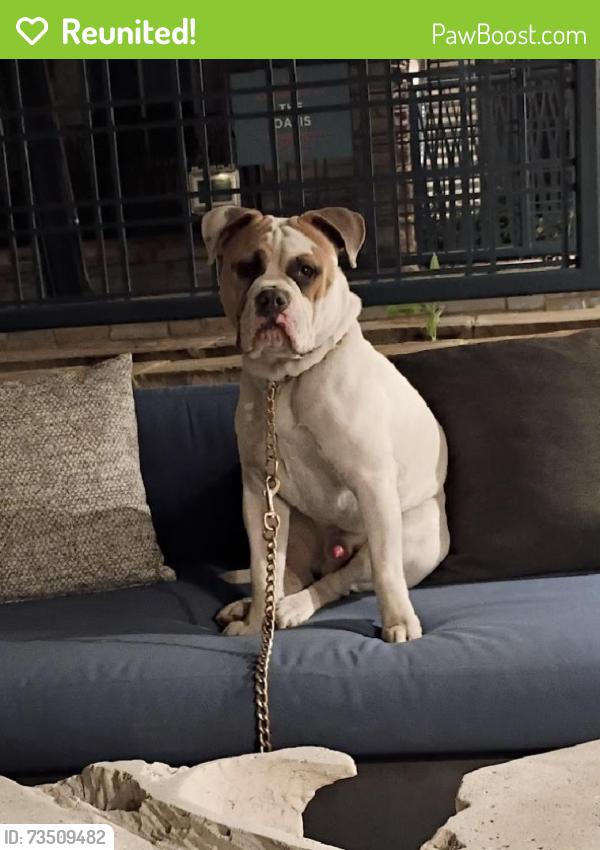 Reunited Male Dog last seen Public Storage, Valencia, Santa Clarita, CA 91355