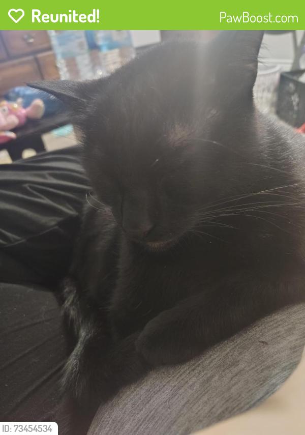 Reunited Male Cat last seen Dollar general is right by our apmt, Texas City, TX 77590
