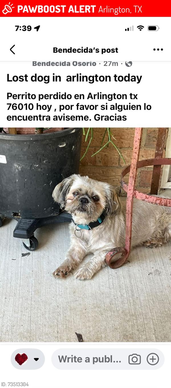 Lost Male Dog last seen Lackland st, Arlington, TX 76010