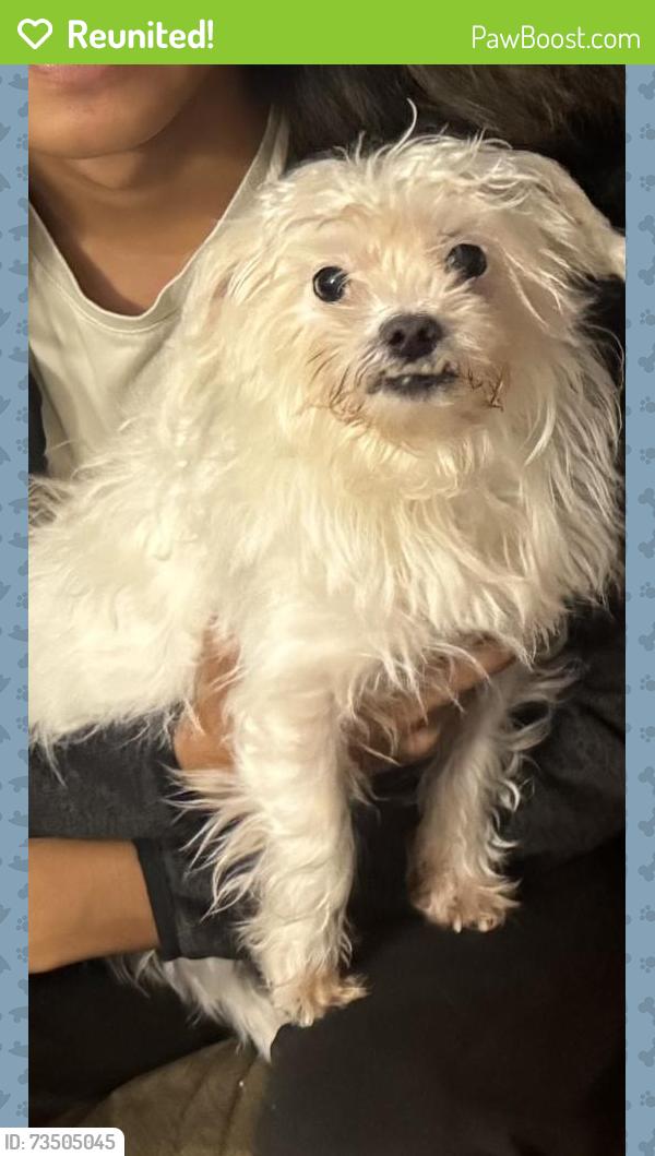 Reunited Male Dog last seen Near Tommy Lee Ct, Indianapolis, IN 46217, USA, Indianapolis, IN 46217