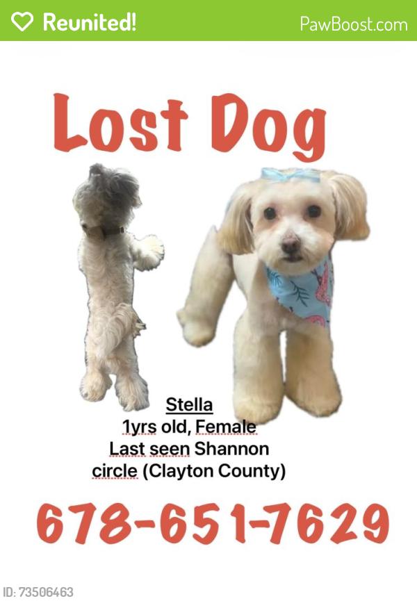 Reunited Female Dog last seen McDonough Rd, Bonanza, GA 30228
