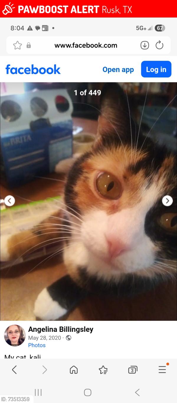 Lost Female Cat last seen Near and doyle, Rusk, TX 75785