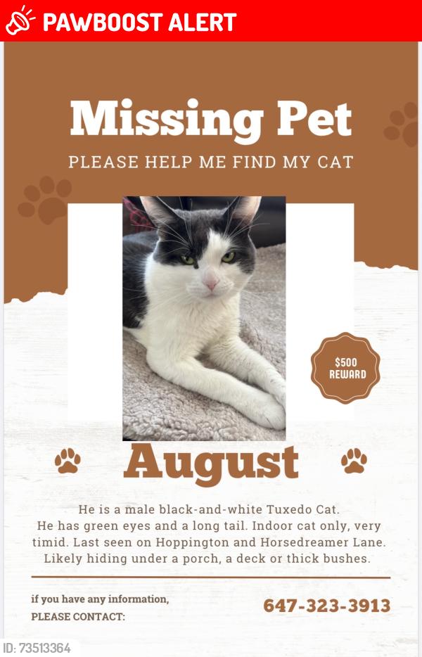 Lost Male Cat last seen Hoppington and Mantle Ave in Stouffville, Whitchurch-Stouffville, ON L4A 0K9