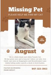 Lost Male Cat last seen Hoppington and Mantle Ave in Stouffville, Whitchurch-Stouffville, ON L4A 0K9
