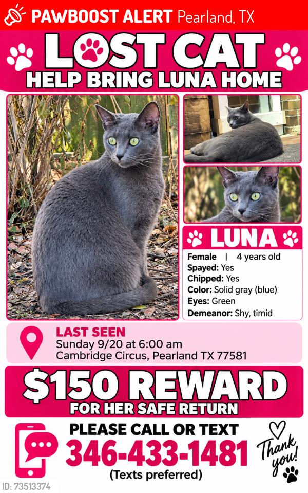 Lost Female Cat last seen Westminster, Pearland, TX 77581