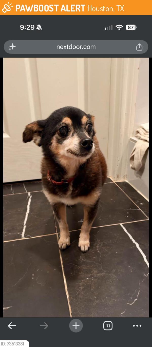 Found/Stray Unknown Dog last seen Wickchester lane, Houston, TX 77079