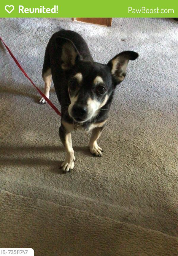 Reunited Male Dog last seen Mason and saticoy, Los Angeles, CA 91306