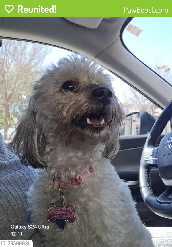 Reunited Female Dog last seen Near Crawford High School, Fort Bend County, TX 77583