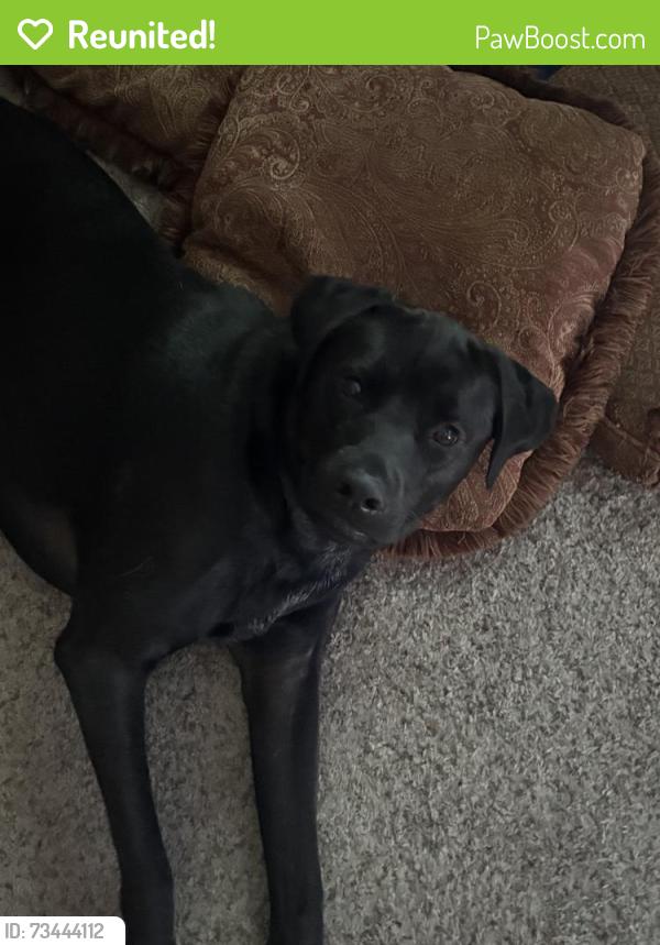 Reunited Male Dog last seen Near Beverly Dr, Waco, TX 76711, USA, Waco, TX 76711
