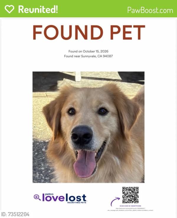 Reunited Male Dog last seen Yukon Dr, Sunnyvale, CA 94087, USA, Sunnyvale, CA 94087