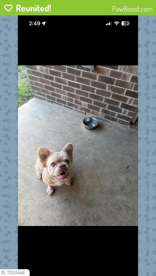Reunited Female Dog last seen Hialeah Dr, Seagoville, TX 75159, USA, Seagoville, TX 75159