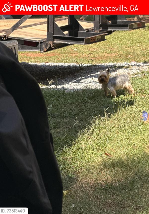 Lost Male Dog last seen Cruse rd, Lawrenceville, GA 30044