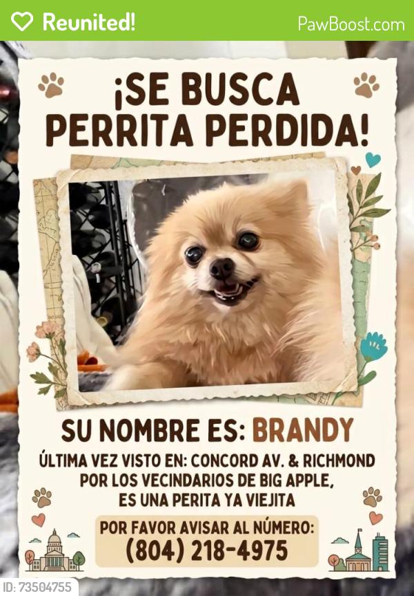 Reunited Female Dog last seen Big Apple supermarket, Chester, VA 23237