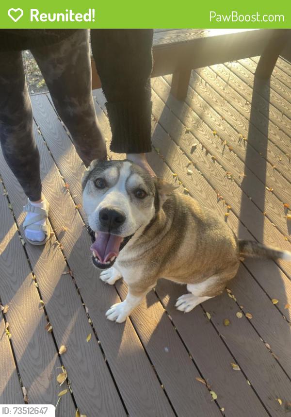 Reunited Male Dog last seen Kalispell and chambers, Aurora, CO 80017