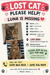 Lost Female Cat last seen Geyserville & Haglar, Chula Vista, CA 91913