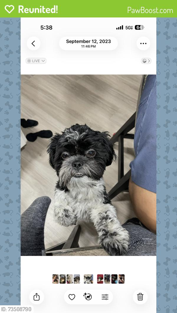Reunited Male Dog last seen 64Th St and Thomas Rd, Scottsdale, AZ 85251