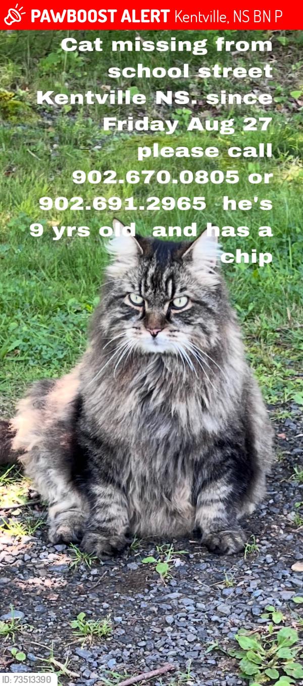 Lost Male Cat last seen Kentville Post Office, Kentville, NS B4N 2P9