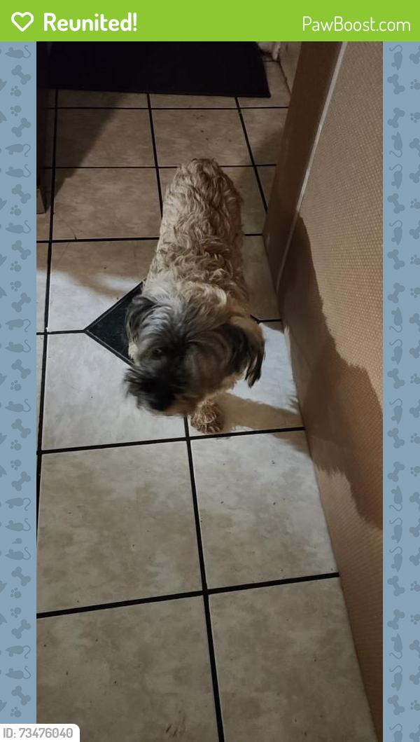 Reunited Female Dog last seen 44th and Kalamazoo ave, Grand Rapids, MI 49508