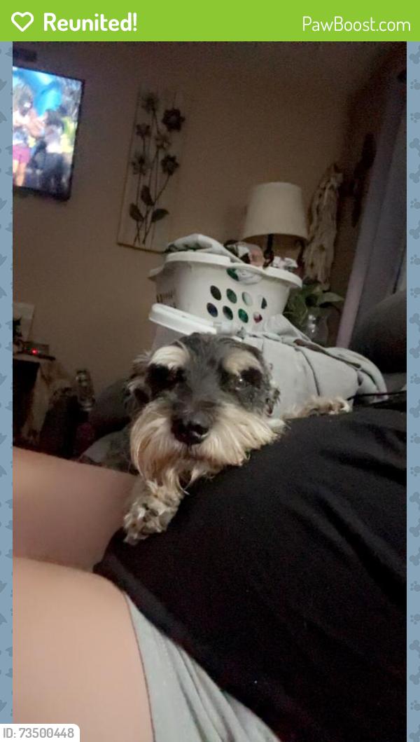 Reunited Male Dog last seen Patton Dr, Odessa, TX, USA, Odessa, TX 79761