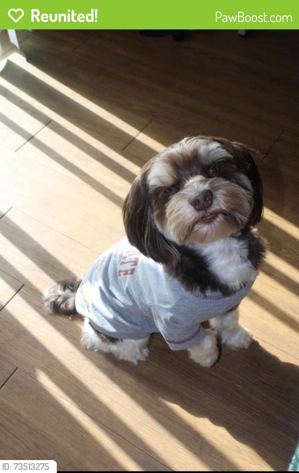 Reunited Male Dog last seen North side, Jacksonville, FL 32219