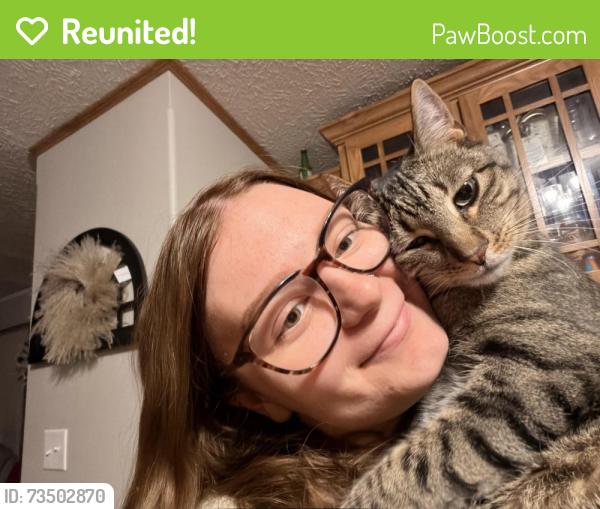 Reunited Male Cat last seen Plumcreek Ave, Limecreek Ave, Gillette, WY 82716