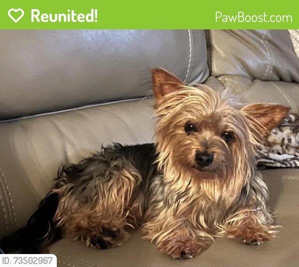Reunited Female Dog last seen Palm, Hemet, CA 92583