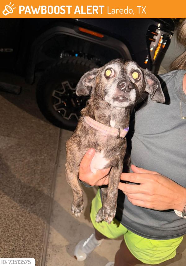 Found/Stray Female Dog last seen Monaco Subdivision, Laredo, TX 78045